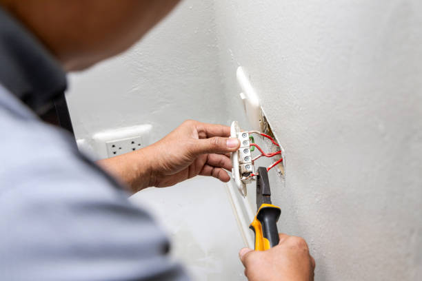 Best Electrical System Inspection  in Las Flores, CA