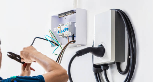 Best Ceiling Fan Installation Electrician  in Las Flores, CA